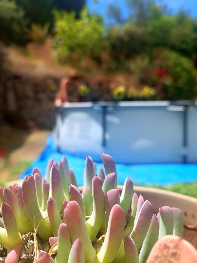 La Casita De La Esperanza Casa de vacances *